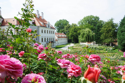 Schloss Thalheim Rosengarten