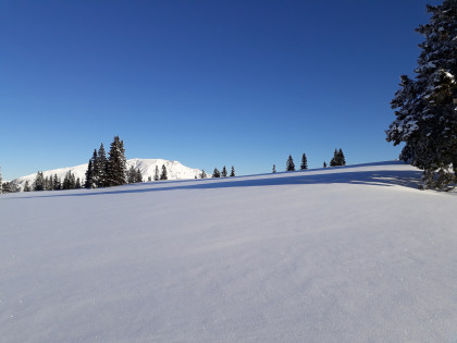 Schneebedeckte Landschaft