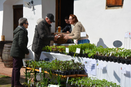 Garten- und Pflanzenmarkt 