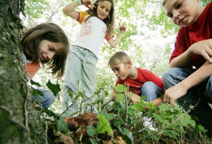 Sommerprogramm für Familien mit Kindern in Göstling-Hochkar