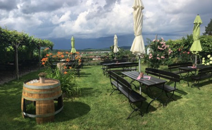 Schöner Garten mit tollem Ausblick über die Weinstadt