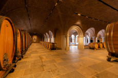 Weinschaun beim Winzer im Weingut Schloss Gobelsburg