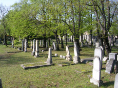 Blick auf den jüdischen Friedhof von Wr. Neustadt