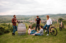 WinEcycle Tours