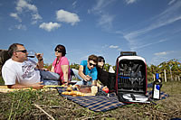 Familie Landauer-Gisperg beim Picknick